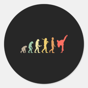 Retro Karate Evolution Gift For Karateka Classic Round Sticker