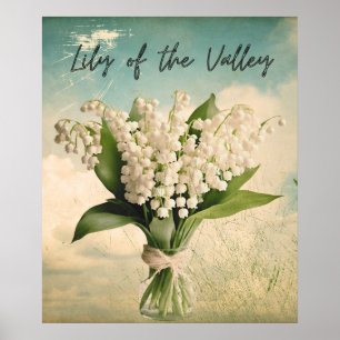 Retro Lily of the Valley May Birth Month Flower  Poster