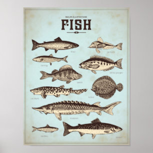 Retro marine poster with different sorts of fish