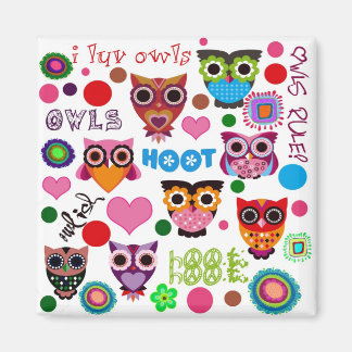 Retro Owls Magnet