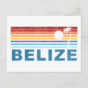 Retro Palm Tree Belise Postcard
