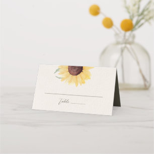 Retro Pastel Colour Daisy Wedding Place Card
