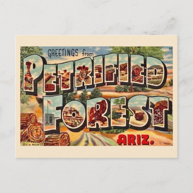 Retro Petrified Forest Arizona Postcard (Front)