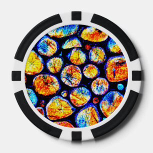 Retro Pocker Chips
