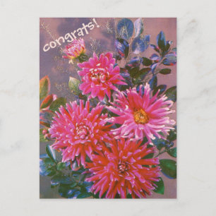 Retro postcard bouquet of pink georgines