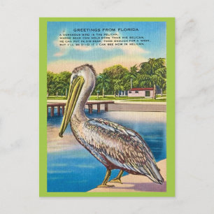 Retro Postcard of Florida