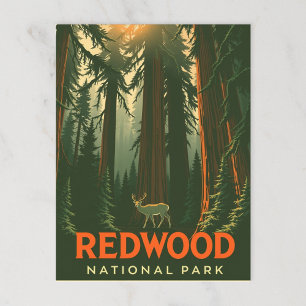 Retro Redwood Forest Deer Postcard