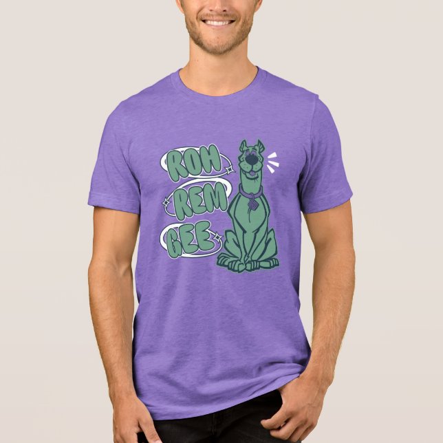 Retro Scooby "OMG" Tri-Blend Shirt (Front)