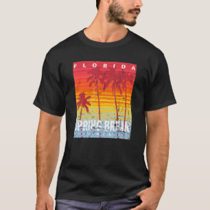 Retro Spring Break 2023 Florida Palm Trees Artwork T-Shirt