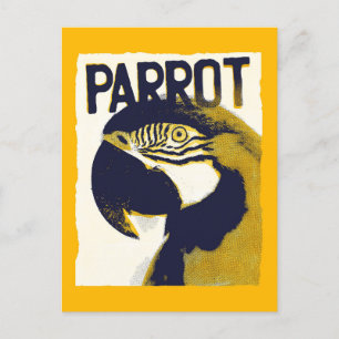 Retro Style Parrot Postcard