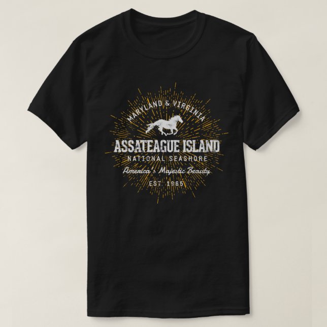 Retro Style Vintage Assateague Island Pullover  (Design Front)