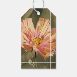 Retro Summer Cosmea Blooms Gift Tags