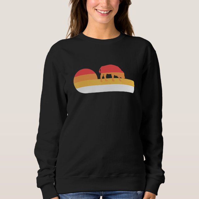 Retro Sunset American Bison Sweatshirt (Front)