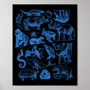 Retro Tattoo Animals Wildlife Nature Conservation  Poster