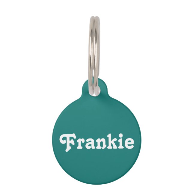 Retro Teal Pet Tag (Front)