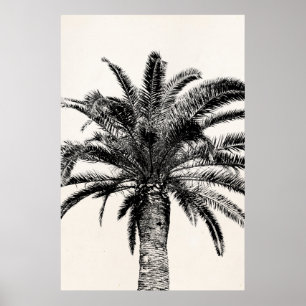 Retro Tropical Island Palm Tree in Black and White Poster