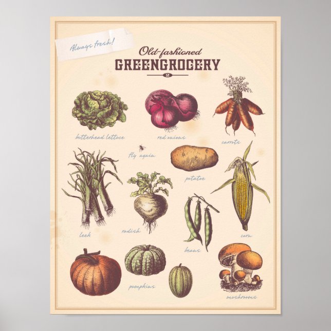 Retro vegetables wall art (2) (Front)