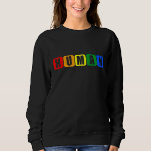 Retro Vintage Human Proud Ally Gay Pride LGBT Flag Sweatshirt
