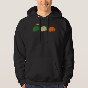 Retro Vintage Ireland Flag Hedgehog St Patrick S D Hoodie