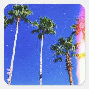 retro vintage palm tree filter florida miami square sticker