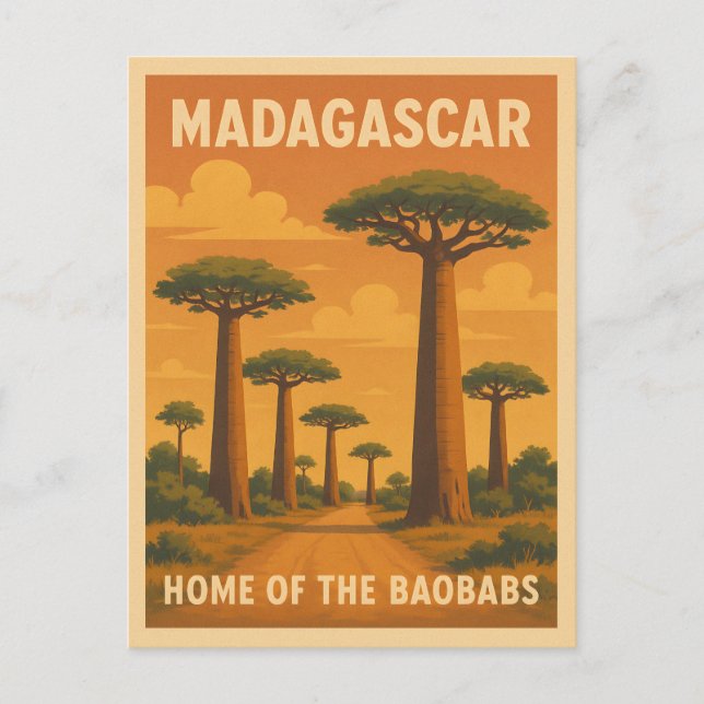 Retro Vintage Travel Madagascar Baobab Tree Sunset Postcard (Front)