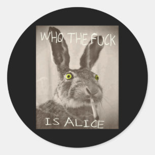 Retro Who The F_ck Is Alice Funny Rabbit Classic Round Sticker