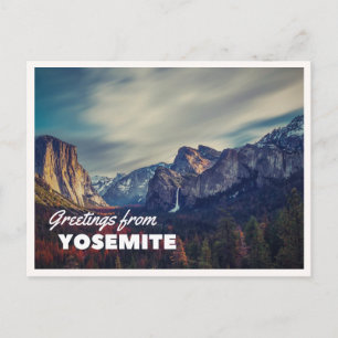 Retro Yellowstone Greetings Bison Grazing Blank Postcard