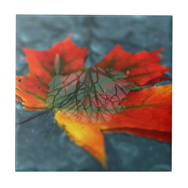 Retroreflection Decorative Tile / Trivet (Front)