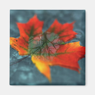 Retroreflection Magnet