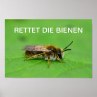 Rettet die Bienen