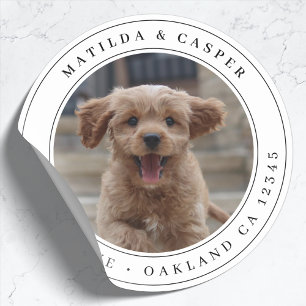 Return Address Dog Photo Classic Round Sticker