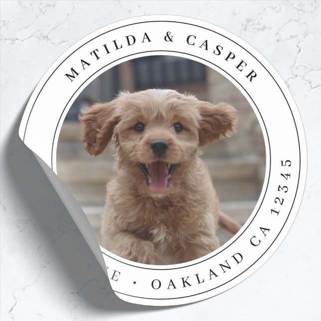 Return Address Dog Photo Classic Round Sticker (Creator Uploaded)