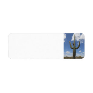 Return Address Label