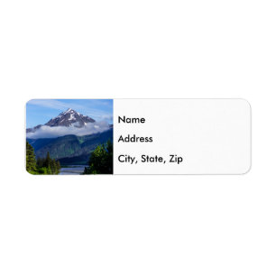 * RETURN ADDRESS LABEL