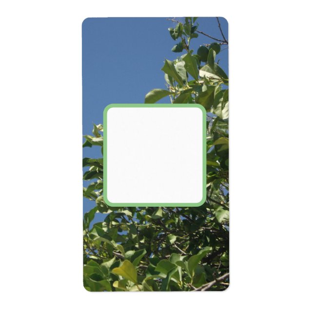 Return Address Label ART AND DESIGN ECO STYLE  (Front)