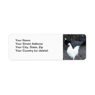 Return Address Label: Chickens Label
