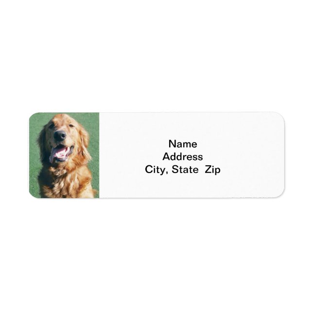Return Address Label, Golden Retriever Label (Front)