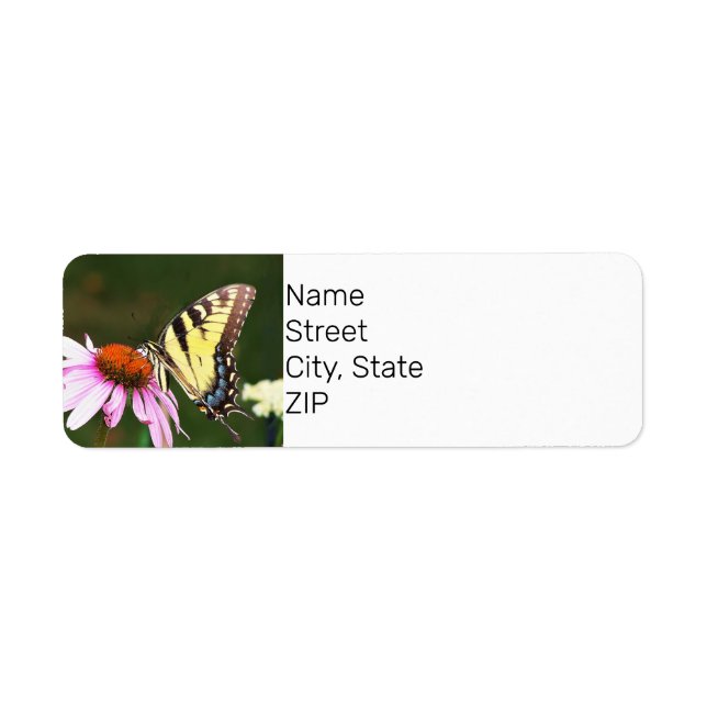 Return Address Label Tiger Swallowtail Butterfly. (Front)