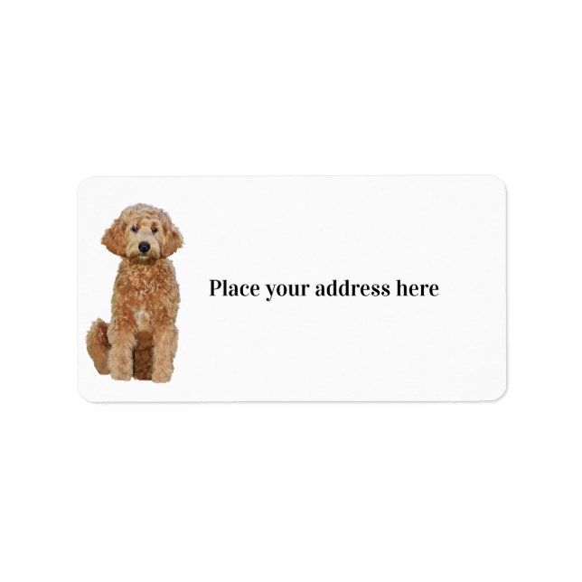 Return Address Label w/ golden doodle (Front)