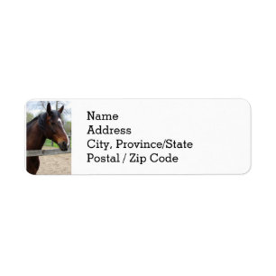 Return Address Labels -