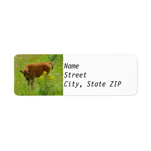 Return Address Labels - Bison Calf Yellowstone (Front)