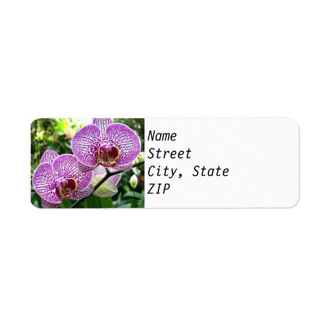 Return Address Labels - Purple Spotted Orchids. (Front)