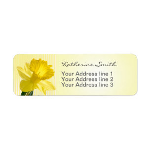 Return Address Yellow Daffodil Picture and Stripes Return Address Label