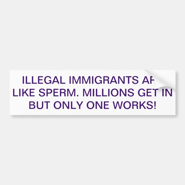 RETURN ILLEGAL IMMIGRANTS BUMPER STICKER (Front)
