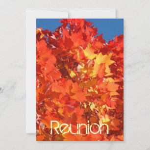 Reunion Invitation Cards Orange Autumn Leaves