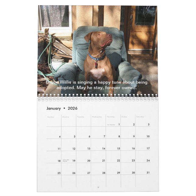Reunion Rescue 2013 Singing Pit Bulls Calendar (Jan 2026)