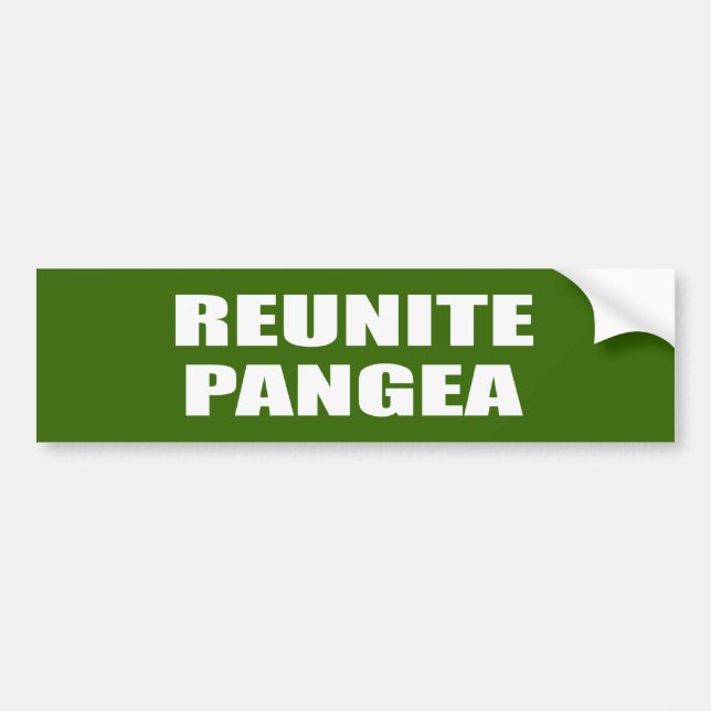 REUNITE PANGEA BUMPER STICKER (Front)