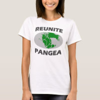 Reunite Pangea