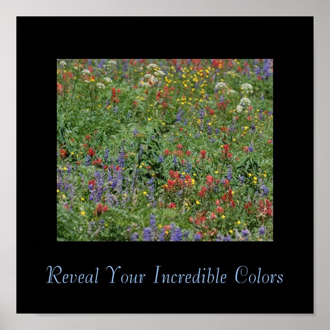 Reveal Your Incredible Colours Poster (Front)