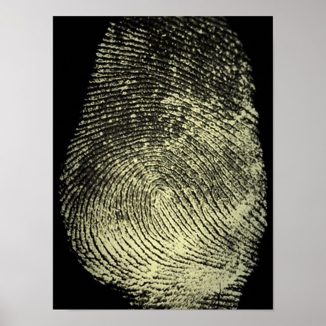 Reversed Loop Fingerprint Poster (Front)